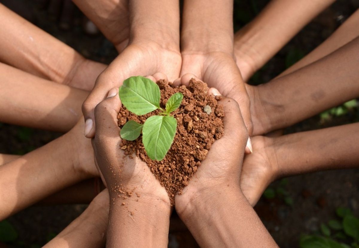 Hands holding a small plant with soil, symbolizing care and growth.