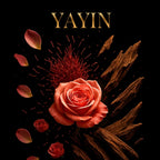 north-YAYIN